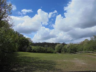 Picture 31